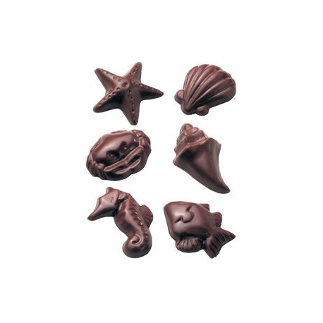 Czekoladowe Muszelki 100g