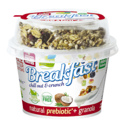 PLANTON Jogurt Breakfast Natural Prebiotyk+Granola